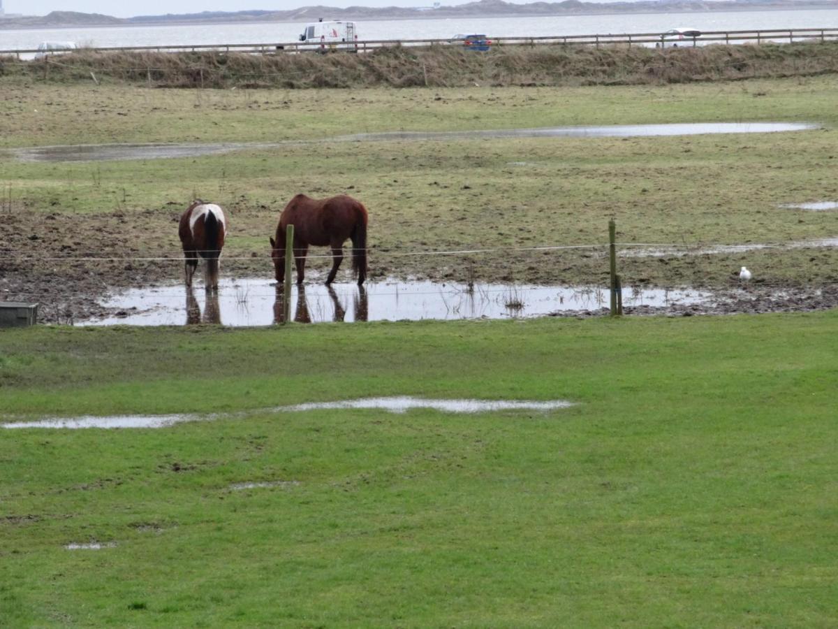 Sea View Cottage Lake District Coast Haverigg Millom Eksteriør bilde